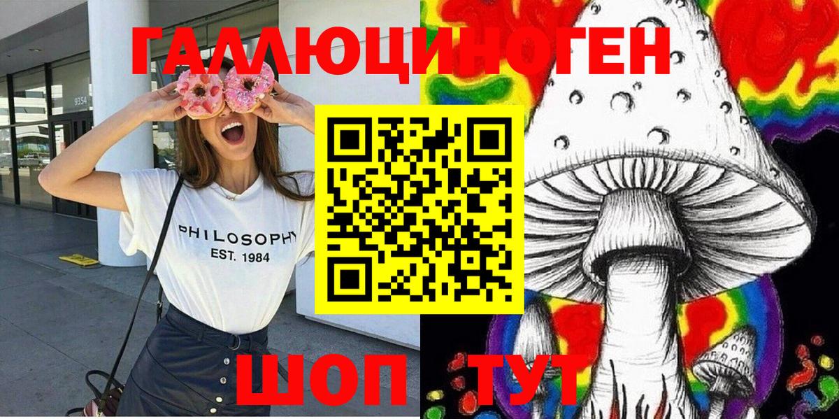 Соль-Илецк  как найти закладки  Вход с VPN  Псилоцибиновые грибы Psilocybe 